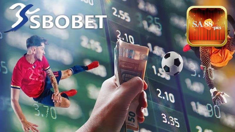 Những lý do nên chọn giải trí sảnh SBOBET tại SA88