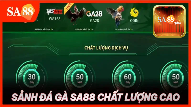 Bí quyết cược đá gà chuẩn 99% tại nhà cái Sa88